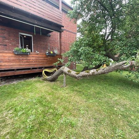 Ferienwohnung am Kirschenbaum Steinhude Exterior foto