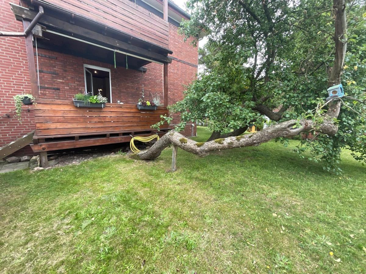 Ferienwohnung am Kirschenbaum Steinhude Exterior foto